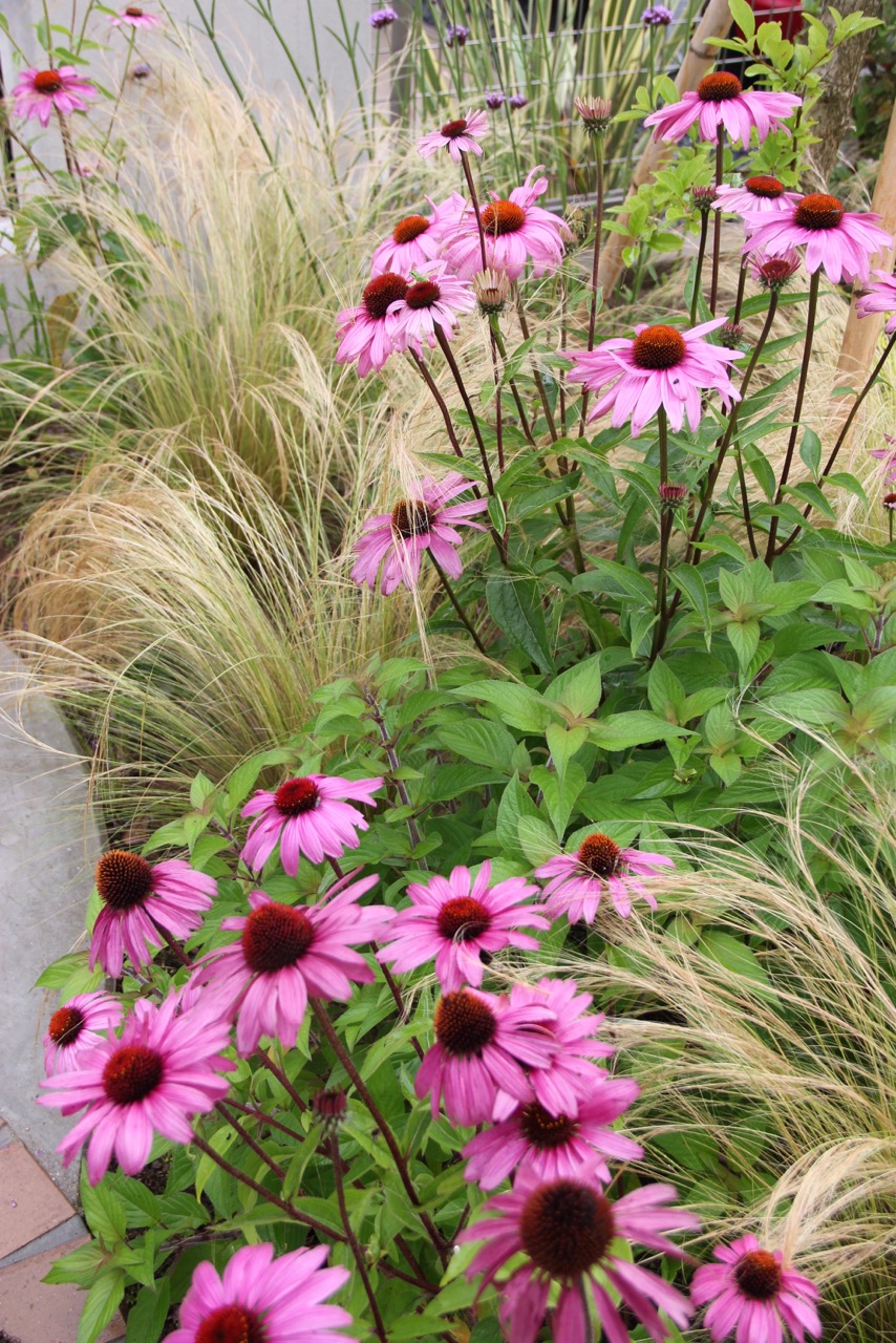 千葉県香取市N様邸　花